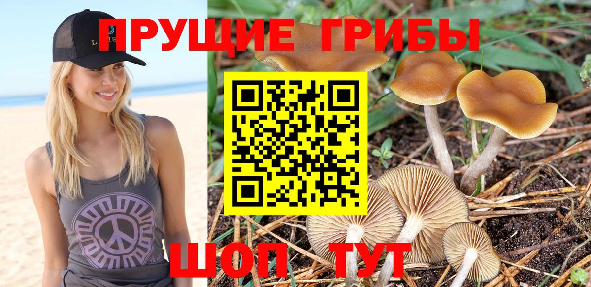 Псилоцибиновые грибы ЛСД Краснодар